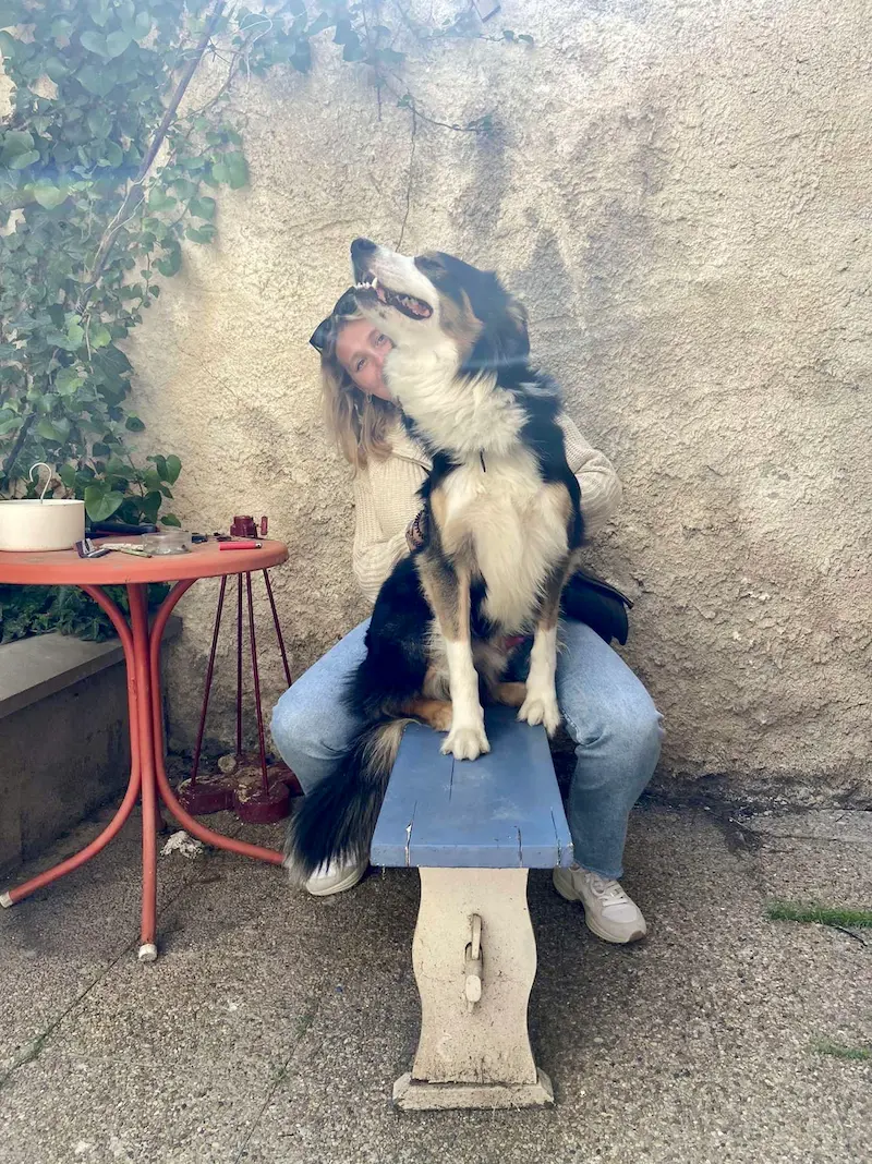 Vivre avec un chien : comprendre l&rsquo;influence émotionnelle dans la relation