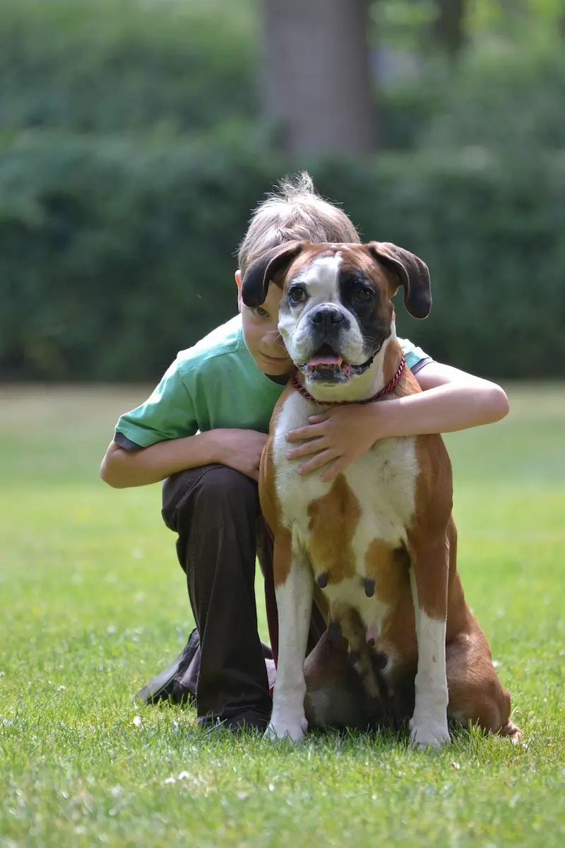 Atelier securite enfant chien